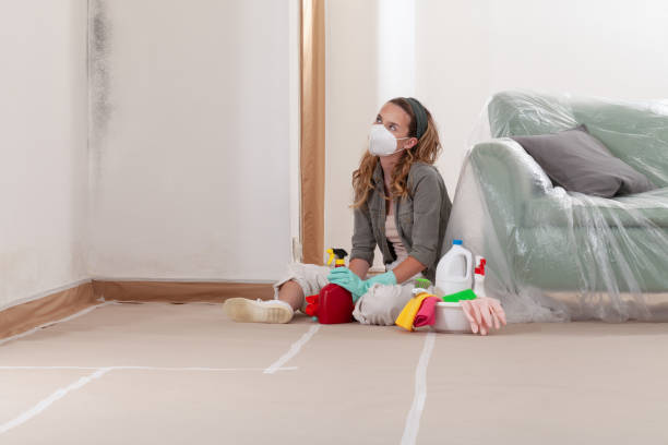 Reliable Black Mold Removal contractor in Osseo, MN by WQB Mold Removal